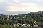 Ischia, il giro dell'isola lungo l'anello stradale 17