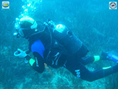 Ischia BioDiving weekend 11