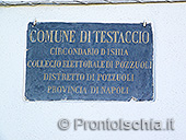 Il Testaccio 19