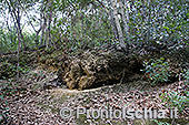 Il Cretaio e il Bosco della Maddalena 9