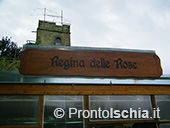 Chiesa Regina delle Rose 14