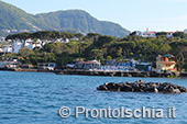 Il giro dell'isola d'Ischia via mare 103