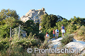 Escursioni a Ischia: tramonto al Monte Epomeo 24