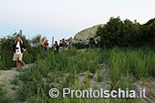 Escursioni a Ischia: tramonto al Monte Epomeo 79