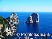 Capri, l'isola Azzurra 39