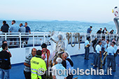 La processione in mare di San Vito Martire 22