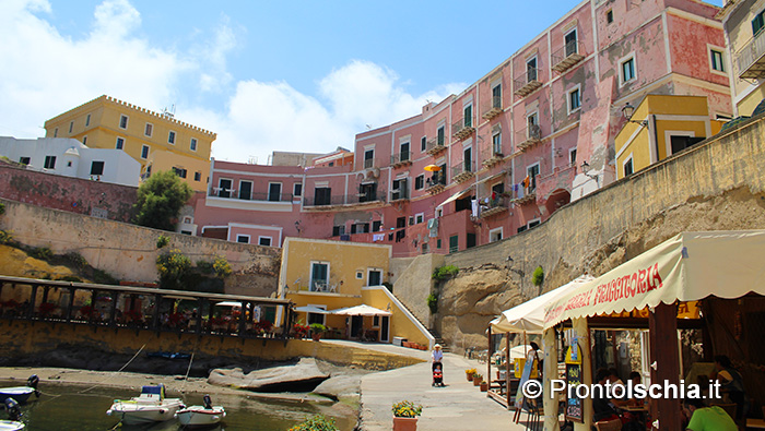 Un'opportunità in più se vieni in vacanza a Ischia d'estate