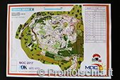 L'orienteering a Ischia 0